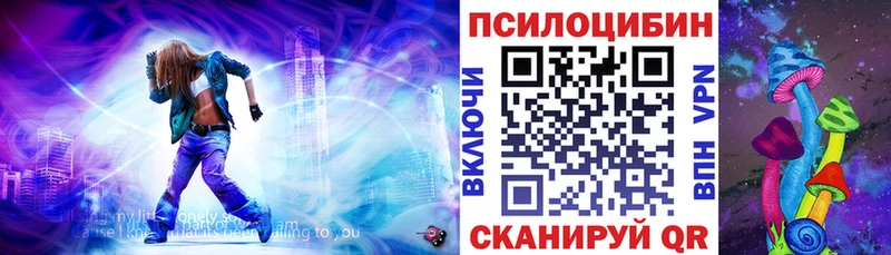 Псилоцибиновые грибы MAGIC MUSHROOMS  Терек 