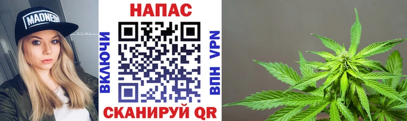 Каннабис White Widow  гидра как войти  Терек  где можно купить  